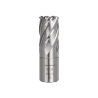 Корончатое сверло по металлу DIAM HSS 19/30мм 320288