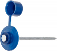 Гвоздь кровельный 2.8х70 мм с пласт. шляпкой, синий (100 шт в пласт. конт.) STARFIX