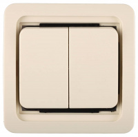 СВЕТОЗАР Гамма, двухклавишный, без подсветки, цвет бежевый, 10 А/~250 В, электрический выключатель (SV-54134-B)