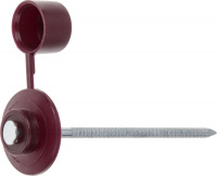 Гвоздь кровельный 2.8х70 мм с пласт. шляпкой, бордо (100 шт в пласт. конт.) STARFIX