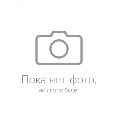 Электрический насос DIAM BH-60/220 620134